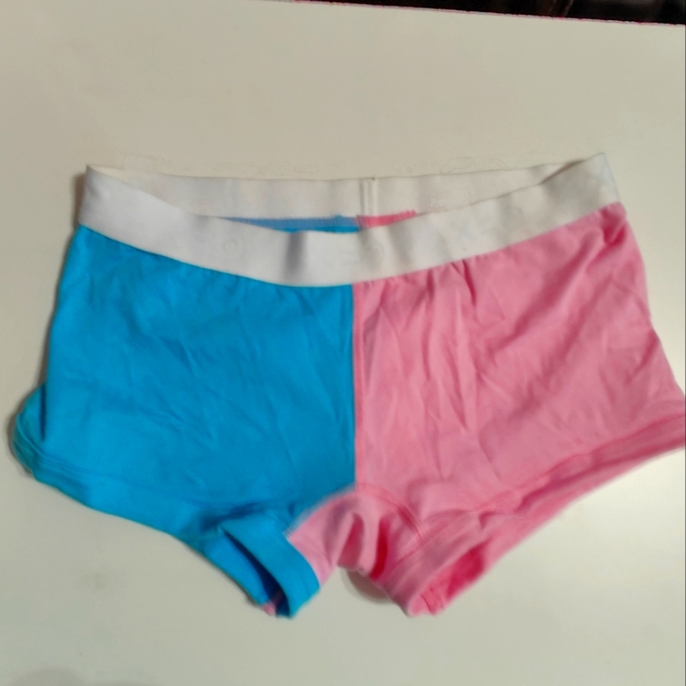 TomboyX Trans Pride Colorblock Boy Shorts Underwear Pink & Blue – Size XS